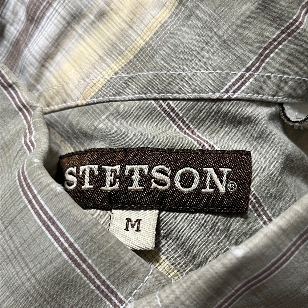 Stetson Sage Green Plaid Button-Up with Brown Label